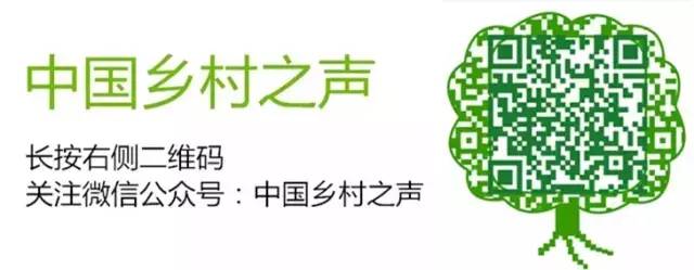 当心这些所谓赚钱项目是陷阱!